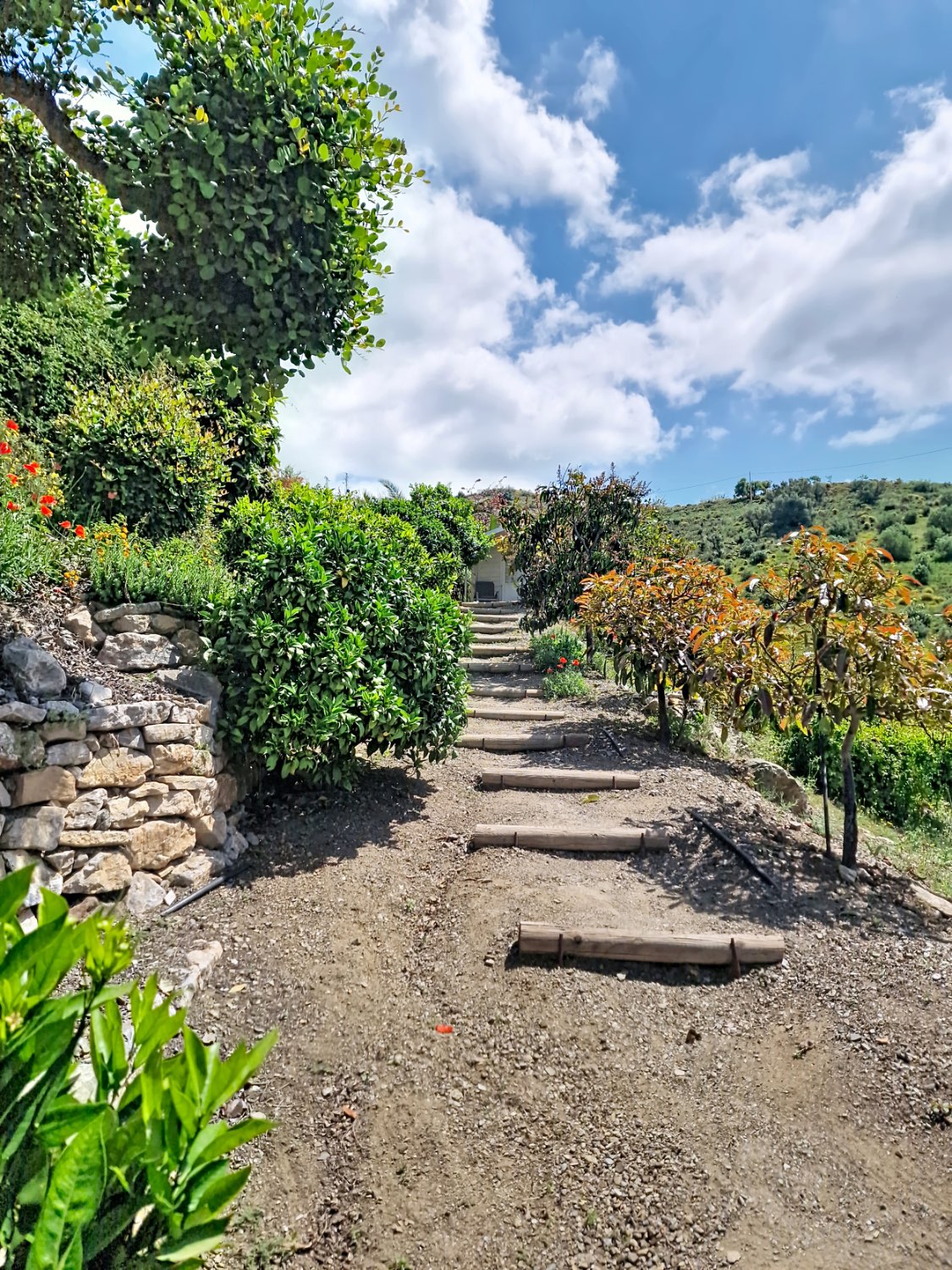 prestige villa for sale in Canillas de Aceituno